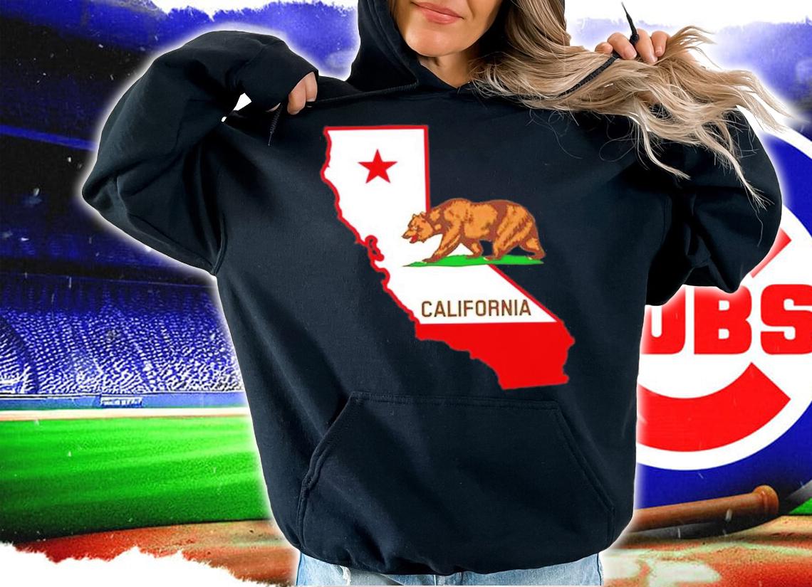 The Bear State United State shirt t-shirt