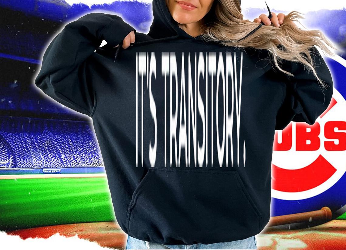 Arbitrage Andy it's transitory shirt t-shirt hoodie
