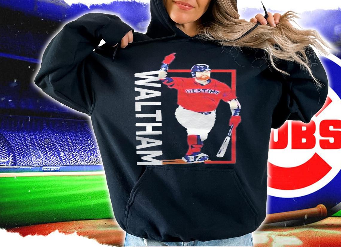 Jared Carrabis Waltham Destiny Kyle Schwarber Shirt hoodie