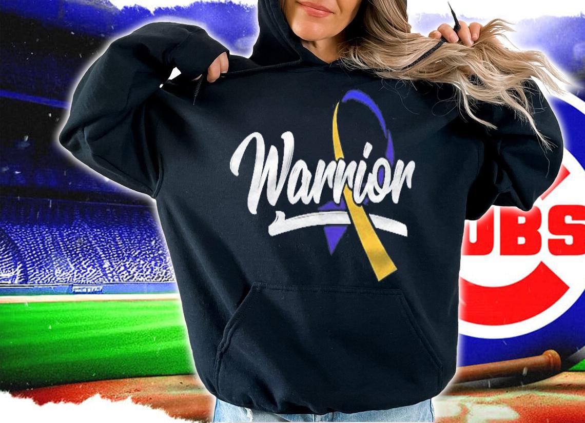 Warrior Bladder Cancer Purple Blue Yellow Dysuria Urologist Shirt hoodie