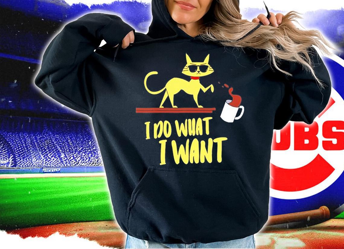 I Do What I Want Cat Lover Sunglasses Cat T-Shirt hoodie
